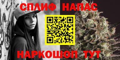 сатива Бузулук
