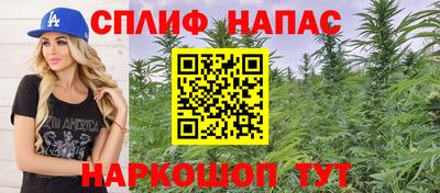 ешки Будённовск