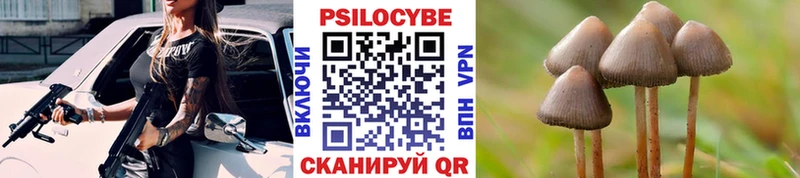 Псилоцибиновые грибы мухоморы  Елец 