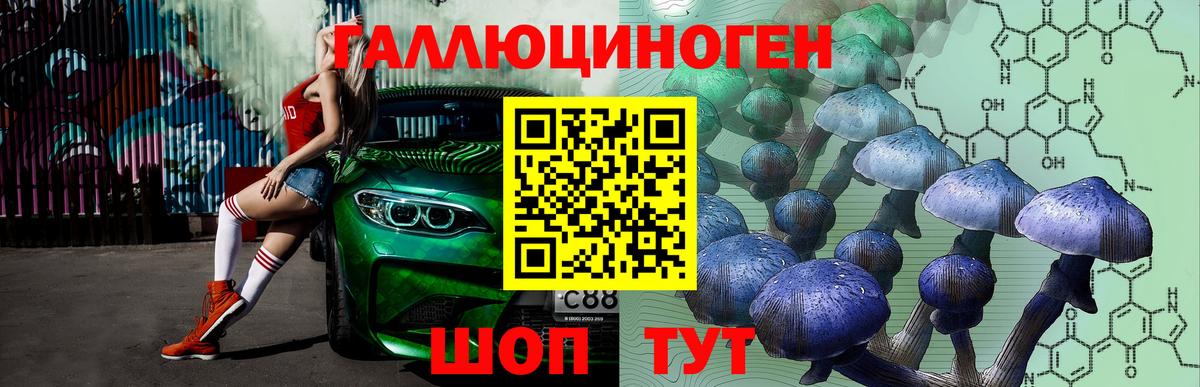Галлюциногенные грибы Magic Shrooms Елец